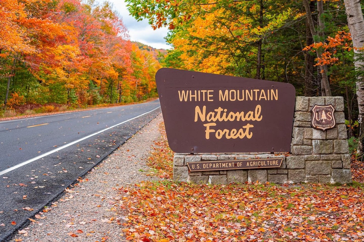 The top 7 Fall destinations in the US worth exploring