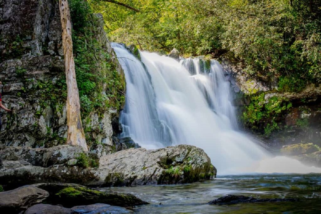 The Best hiking trails in Great Smoky National Park