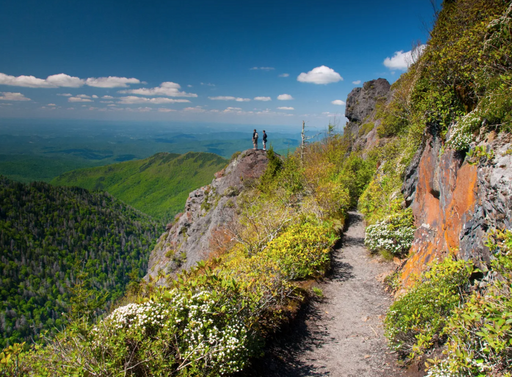Top hiking trails in the US worth exploring